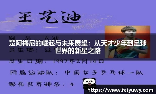 楚阿梅尼的崛起与未来展望：从天才少年到足球世界的新星之路