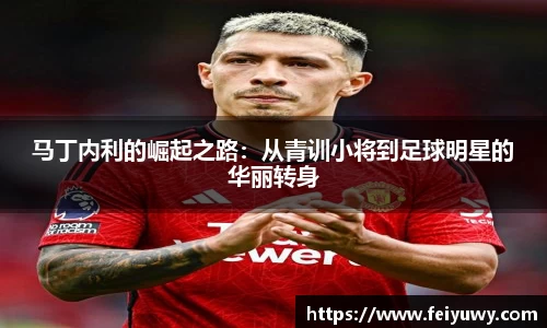 马丁内利的崛起之路：从青训小将到足球明星的华丽转身