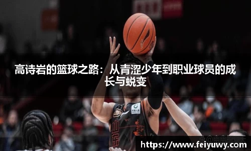 完美.(中国)体育官方网站-365WM SPORTS