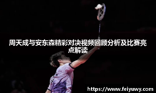 完美体育