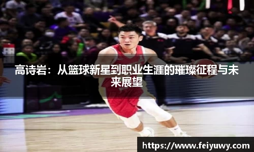 完美.(中国)体育官方网站