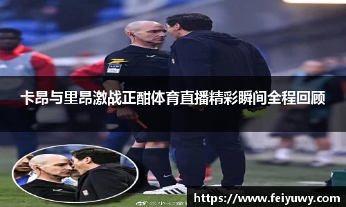 完美.(中国)体育官方网站